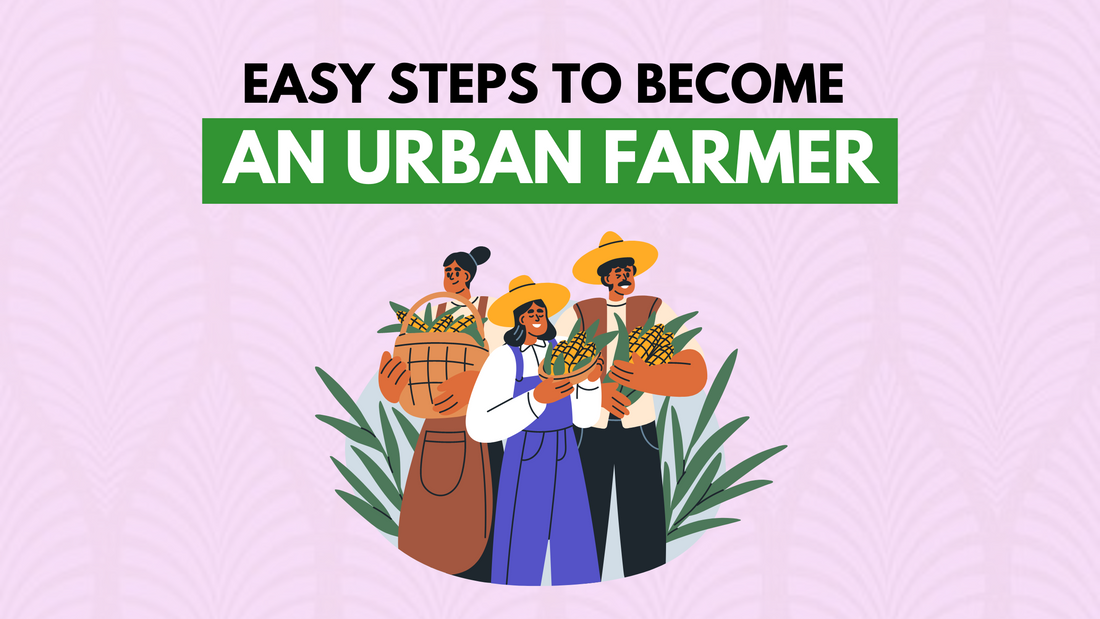 EASY STEPS TO BECOME AN URBAN FARMER