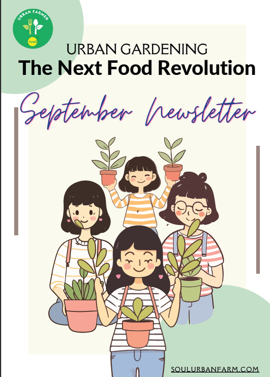 Monthly Newsletter - September 2023