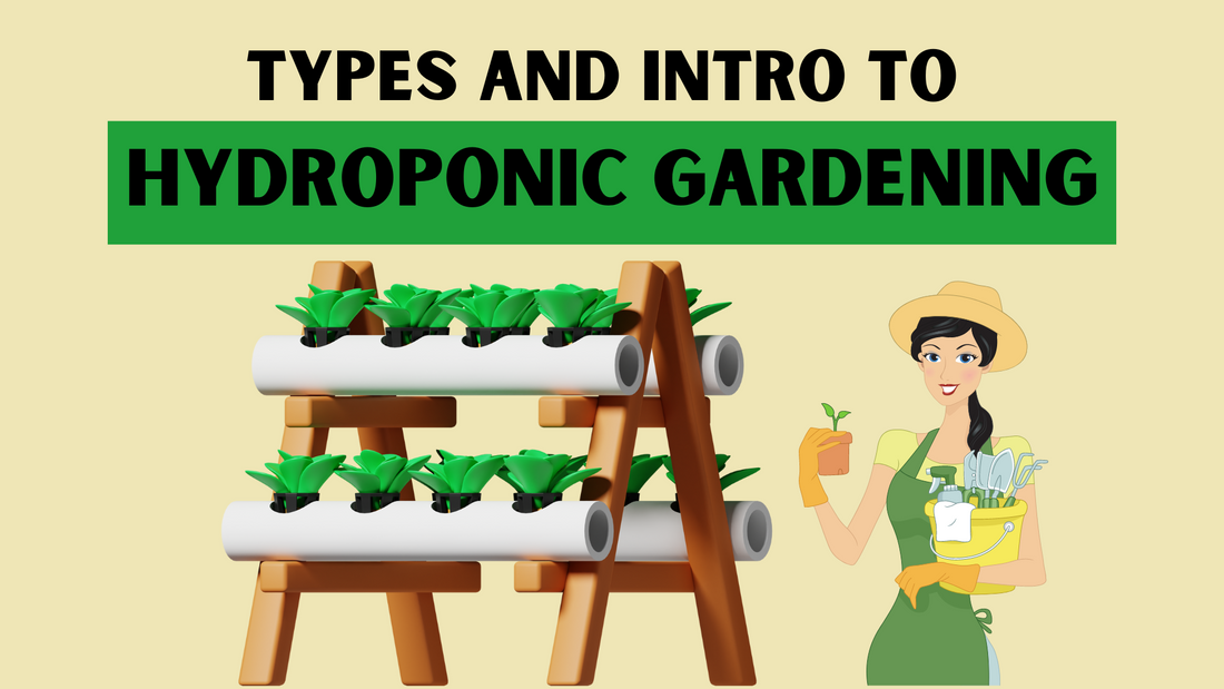 Hydroponic Gardening