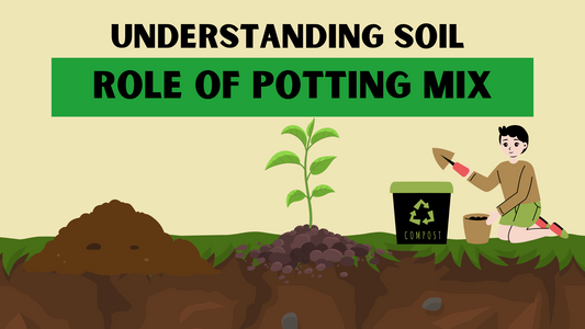 Understanding Soil and the Role of Potting Mix