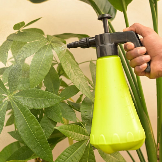 1 Litre Pressure Sprayer