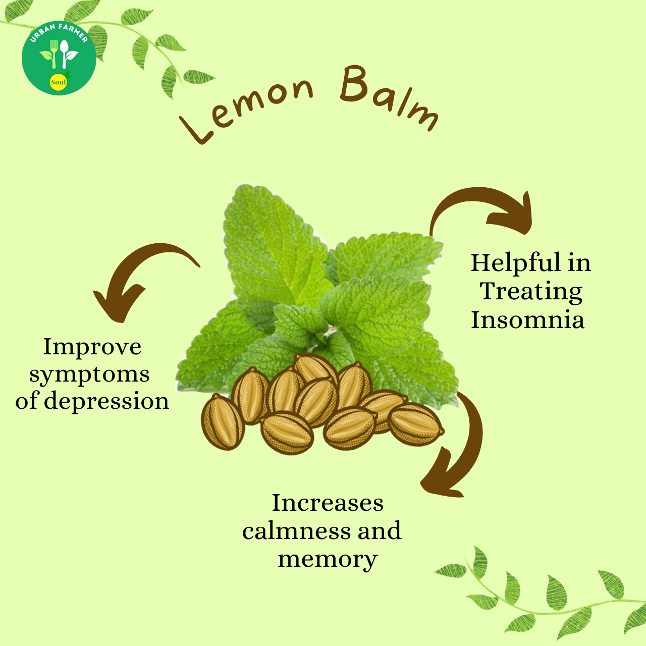Lemon Balm Leaves Seeds SOUL URBAN FARMING