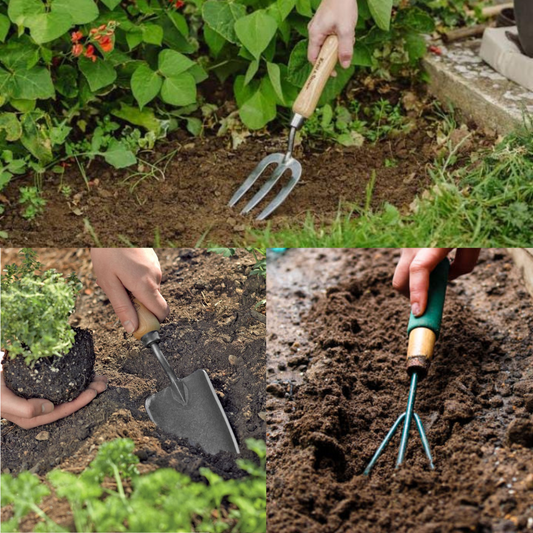 3 in 1 gardening tools