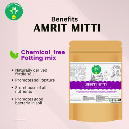 Amrit Mitti