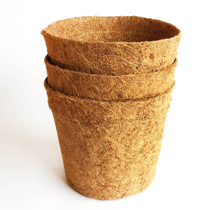 Coir Pots